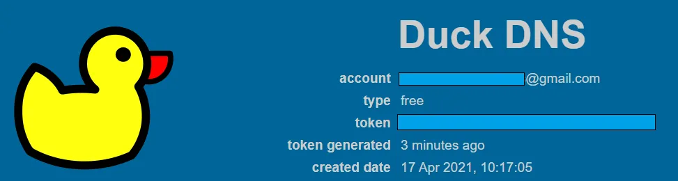 home assistant duckdns