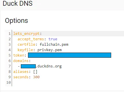 opciones duckdns